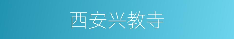 西安兴教寺的同义词