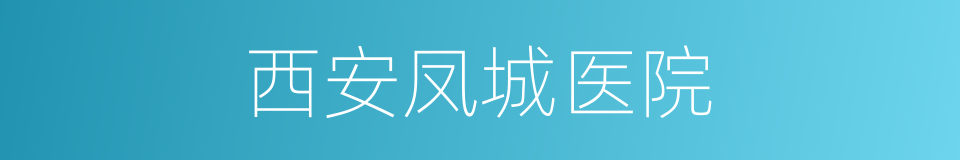 西安凤城医院的同义词