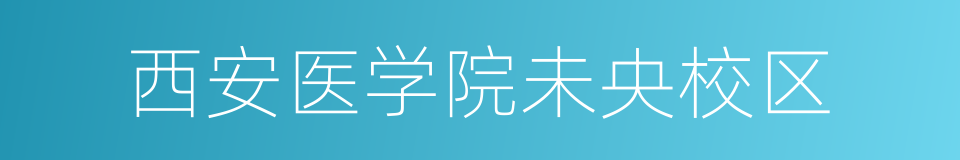 西安医学院未央校区的同义词