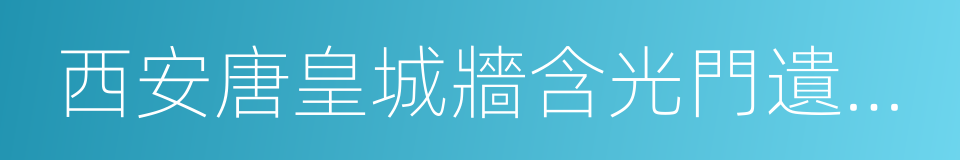 西安唐皇城牆含光門遺址博物館的同義詞