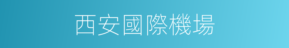 西安國際機場的同義詞