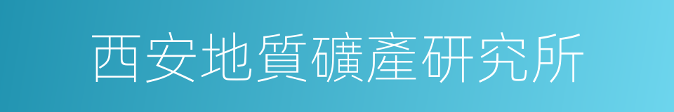 西安地質礦產研究所的同義詞