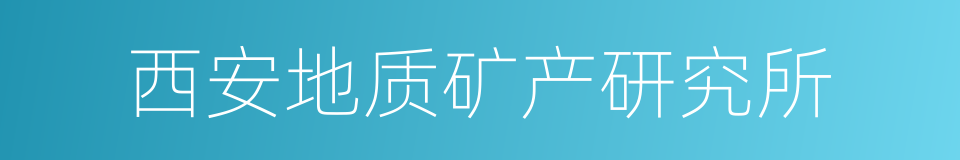 西安地质矿产研究所的同义词