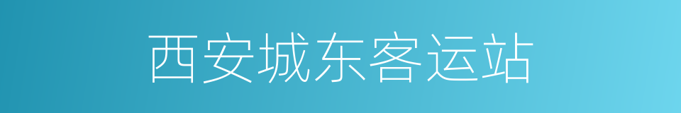 西安城东客运站的同义词