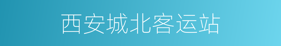 西安城北客运站的同义词