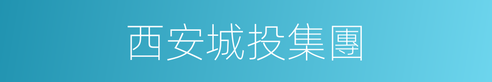 西安城投集團的同義詞