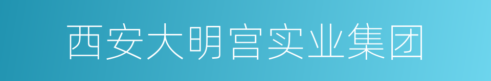 西安大明宫实业集团的同义词