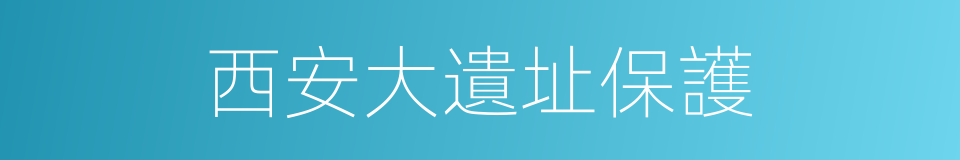 西安大遺址保護的同義詞