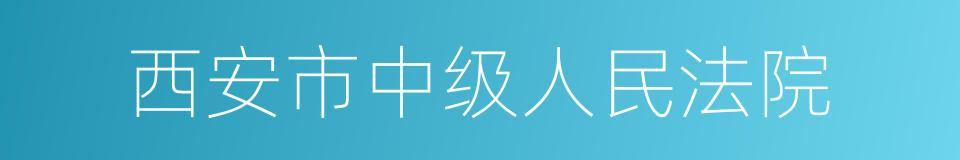 西安市中级人民法院的同义词