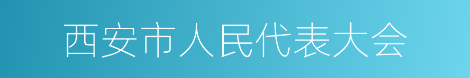 西安市人民代表大会的同义词