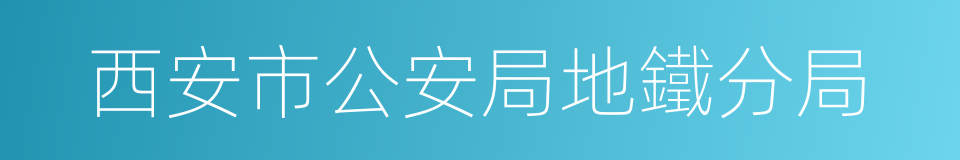 西安市公安局地鐵分局的同義詞