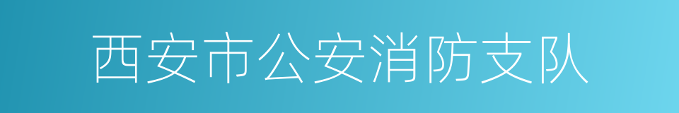 西安市公安消防支队的同义词