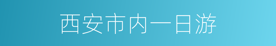 西安市内一日游的同义词