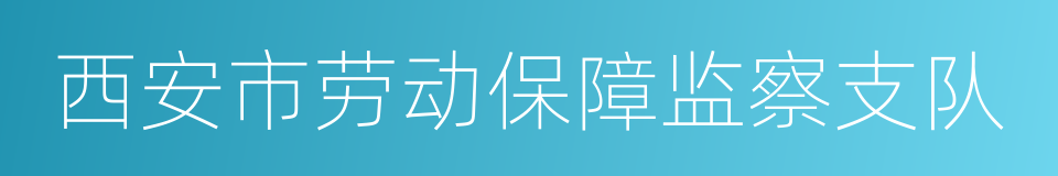 西安市劳动保障监察支队的同义词