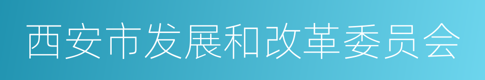 西安市发展和改革委员会的同义词