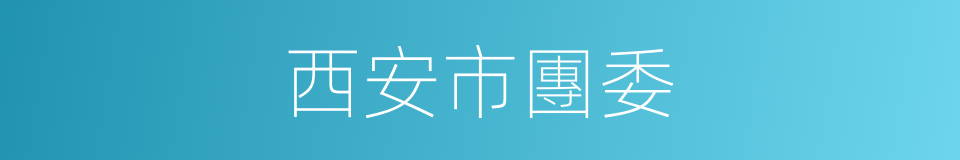 西安市團委的同義詞