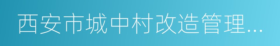 西安市城中村改造管理办法的同义词