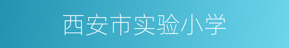 西安市实验小学的同义词