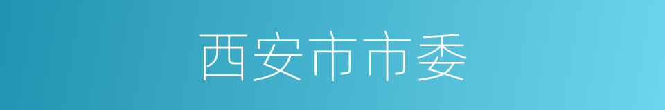 西安市市委的同义词