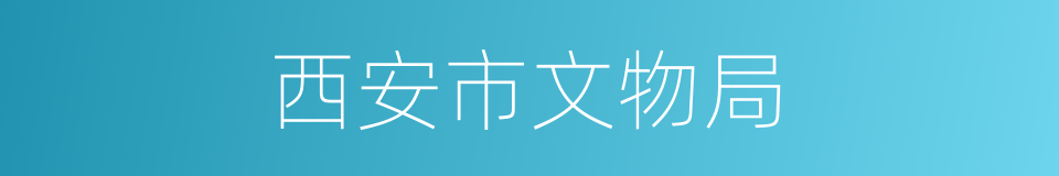 西安市文物局的同义词