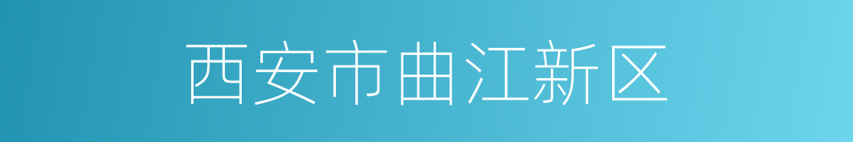 西安市曲江新区的同义词