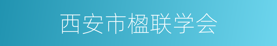西安市楹联学会的同义词