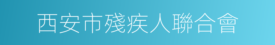 西安市殘疾人聯合會的同義詞
