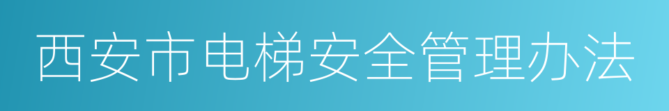 西安市电梯安全管理办法的同义词