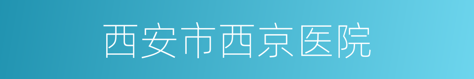 西安市西京医院的同义词