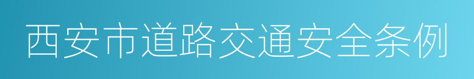 西安市道路交通安全条例的同义词