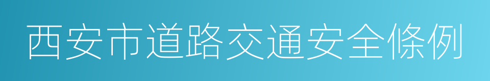 西安市道路交通安全條例的意思