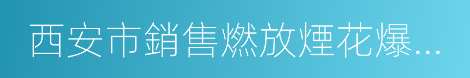 西安市銷售燃放煙花爆竹安全管理條例的同義詞