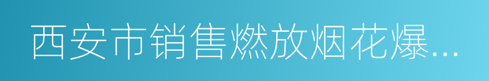 西安市销售燃放烟花爆竹安全管理条例的同义词