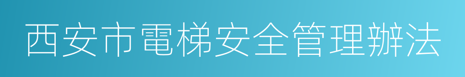 西安市電梯安全管理辦法的同義詞