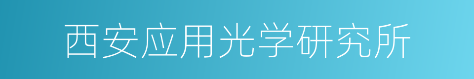 西安应用光学研究所的同义词