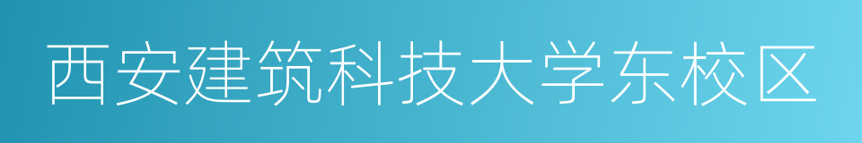 西安建筑科技大学东校区的同义词