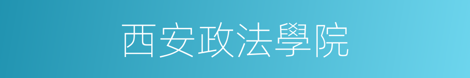 西安政法學院的同義詞