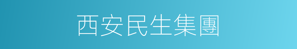 西安民生集團的同義詞