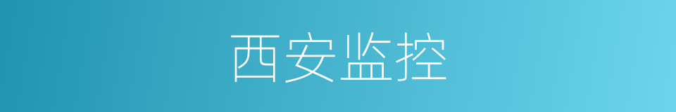 西安监控的同义词