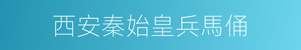 西安秦始皇兵馬俑的同義詞