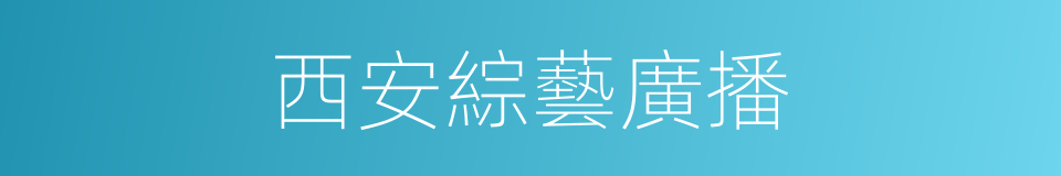 西安綜藝廣播的同義詞