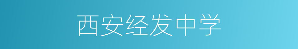 西安经发中学的同义词