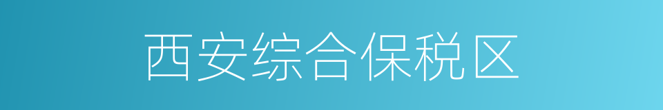 西安综合保税区的同义词