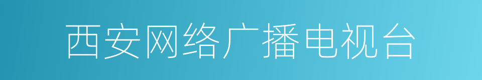 西安网络广播电视台的同义词