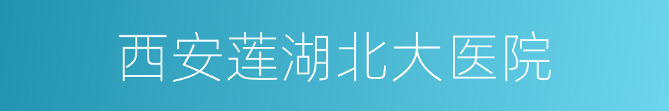 西安莲湖北大医院的同义词