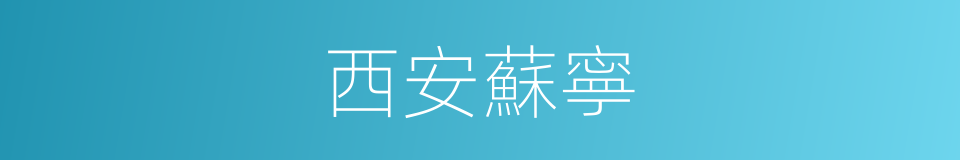 西安蘇寧的同義詞