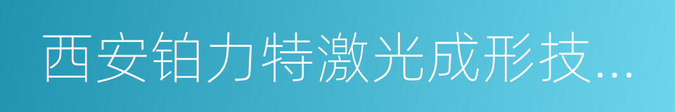 西安铂力特激光成形技术有限公司的同义词