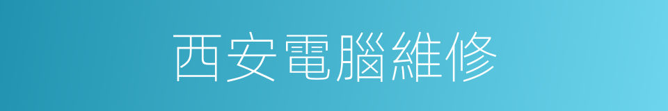 西安電腦維修的同義詞