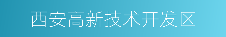 西安高新技术开发区的同义词