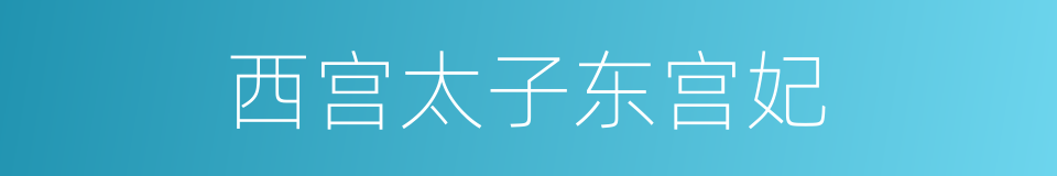 西宫太子东宫妃的同义词